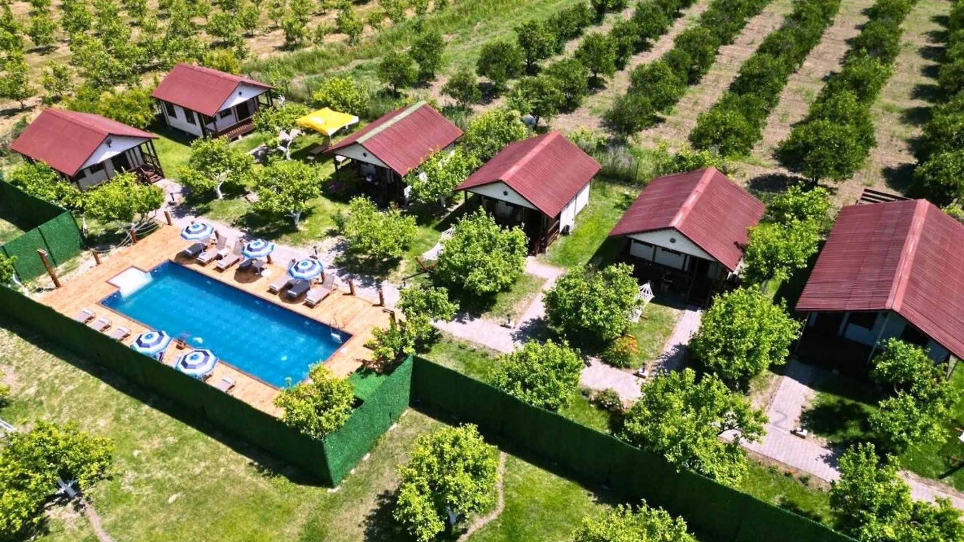 Kontakt z Iztuzu Bungalow & Camping
